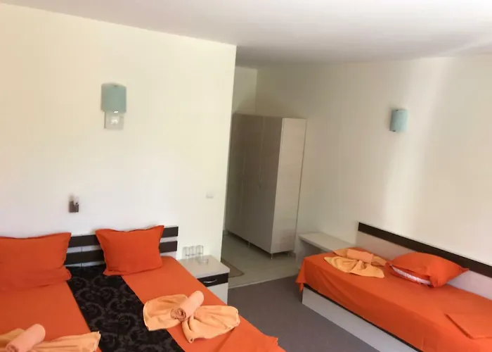 Family Golden Lion Primorsko